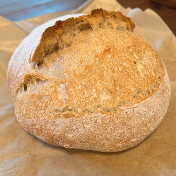 Sourdough Starter (Dehydrated) - Picture 6 of 6